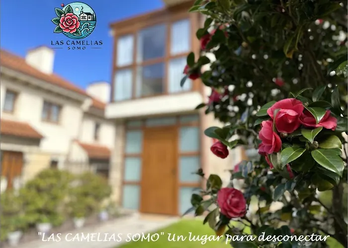 NUEVO!!! 5 min andando la PLAYA!! Las Camelias Somo REFORMADO totalmente