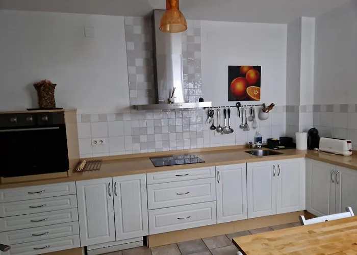 Casa David