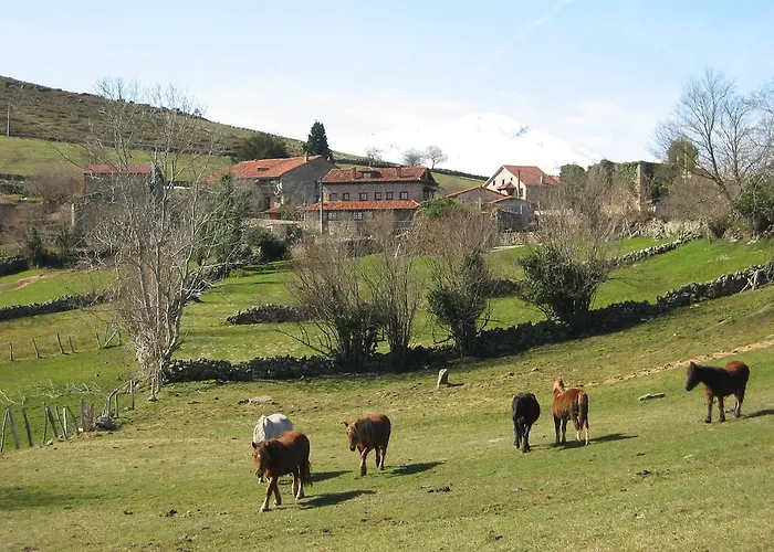 Apartamentos Rurales Colsa