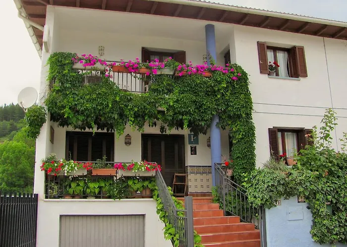 Pension El Peregrino De Larrasoana