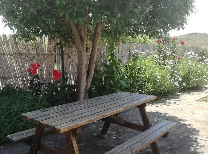 Casa Los Olivos