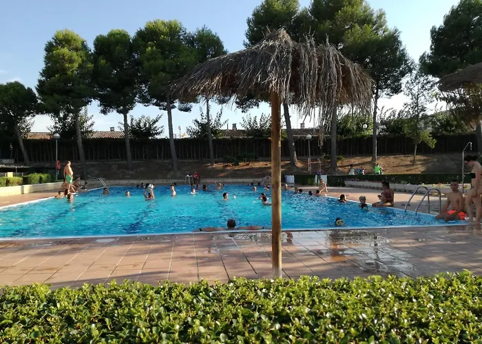 Camping Fayón Fishing