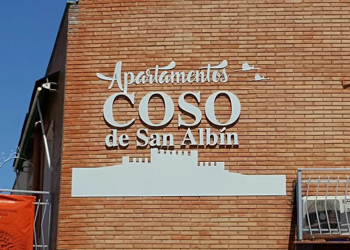 Apartamentos Coso De San Albin