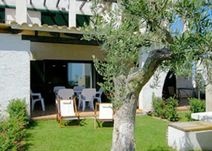 Oliveres 46