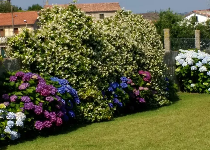 Casita Curbeiros