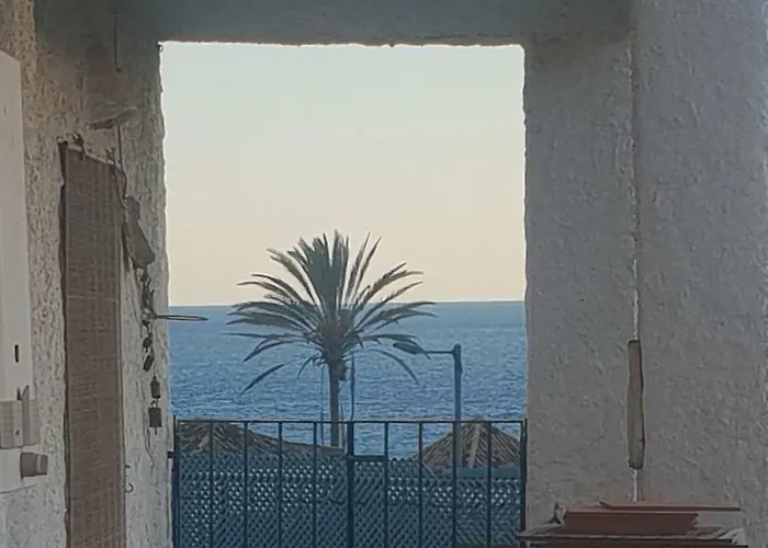 La Gaviota 13