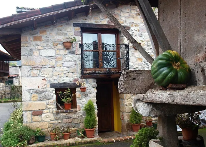 Casa Nivia