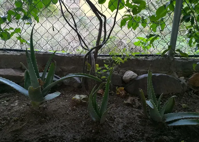 Casa La Terraza