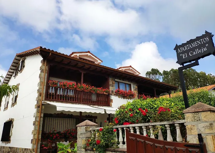 Apartamentos El Calleju