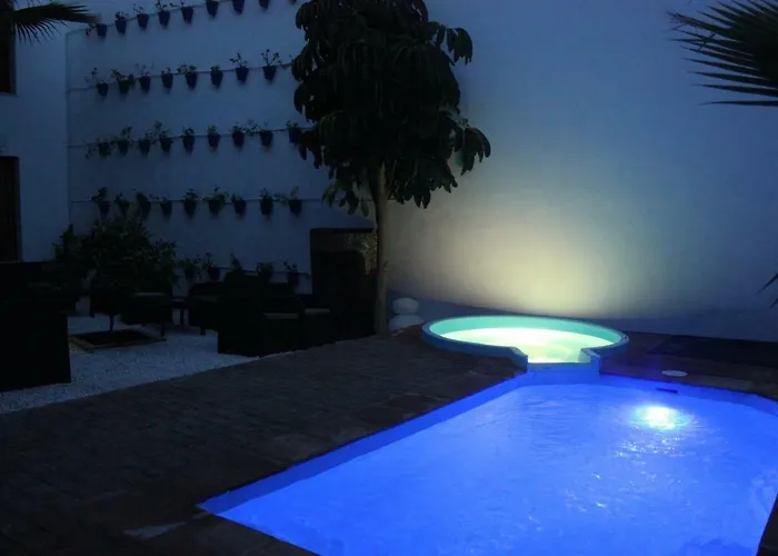 Apartamentos Casa-Patio Las Palmeras