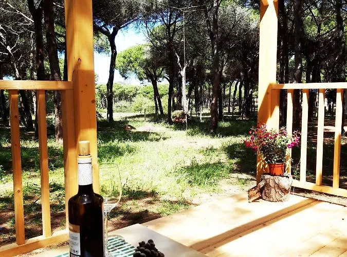 The Pineforest Cabin