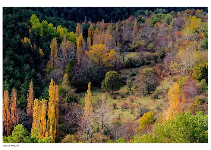 Casa Rural Cal Bosch