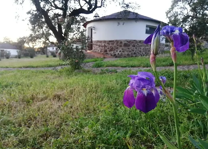 Chozos De La Dehesa