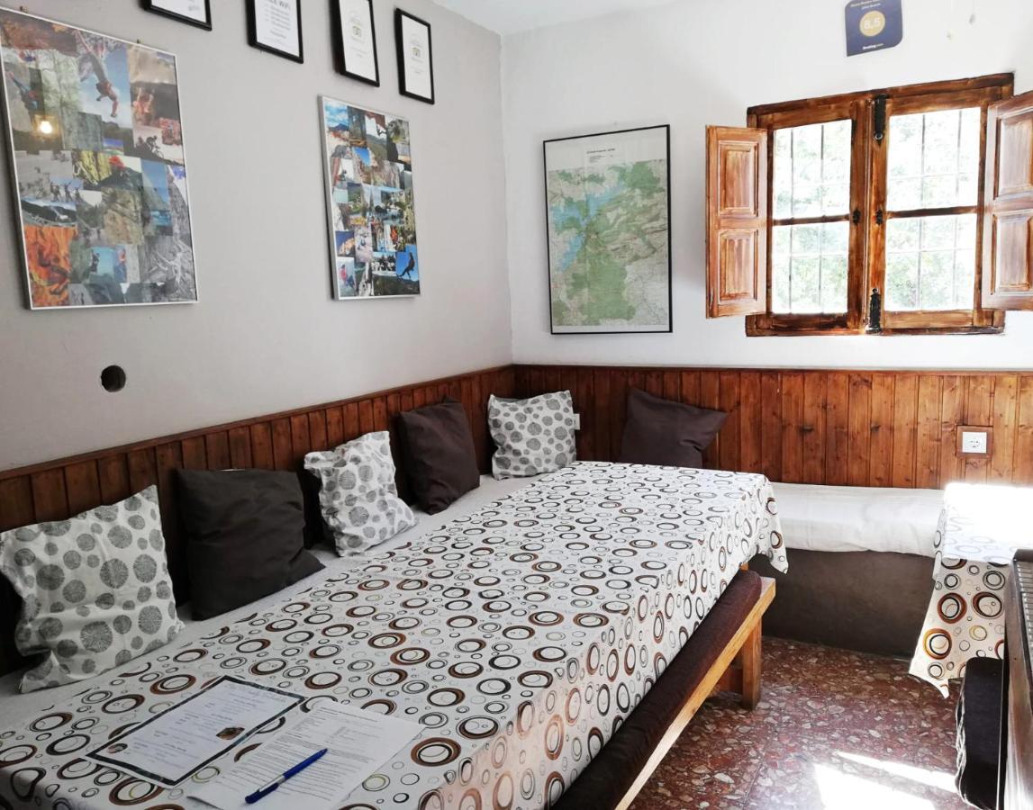 Guest house Olive Branch