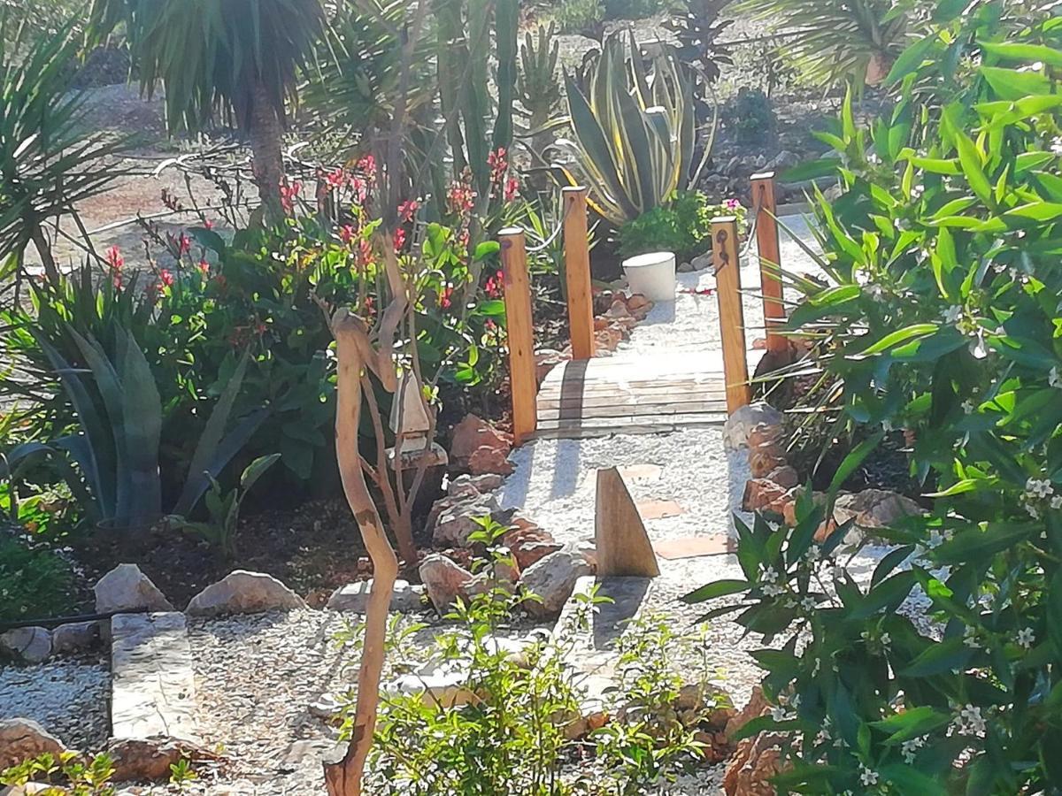 Olive Branch Guest house El Chorro