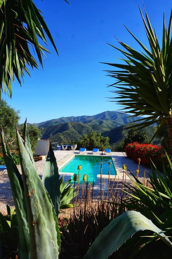 Olive Branch Guest house El Chorro