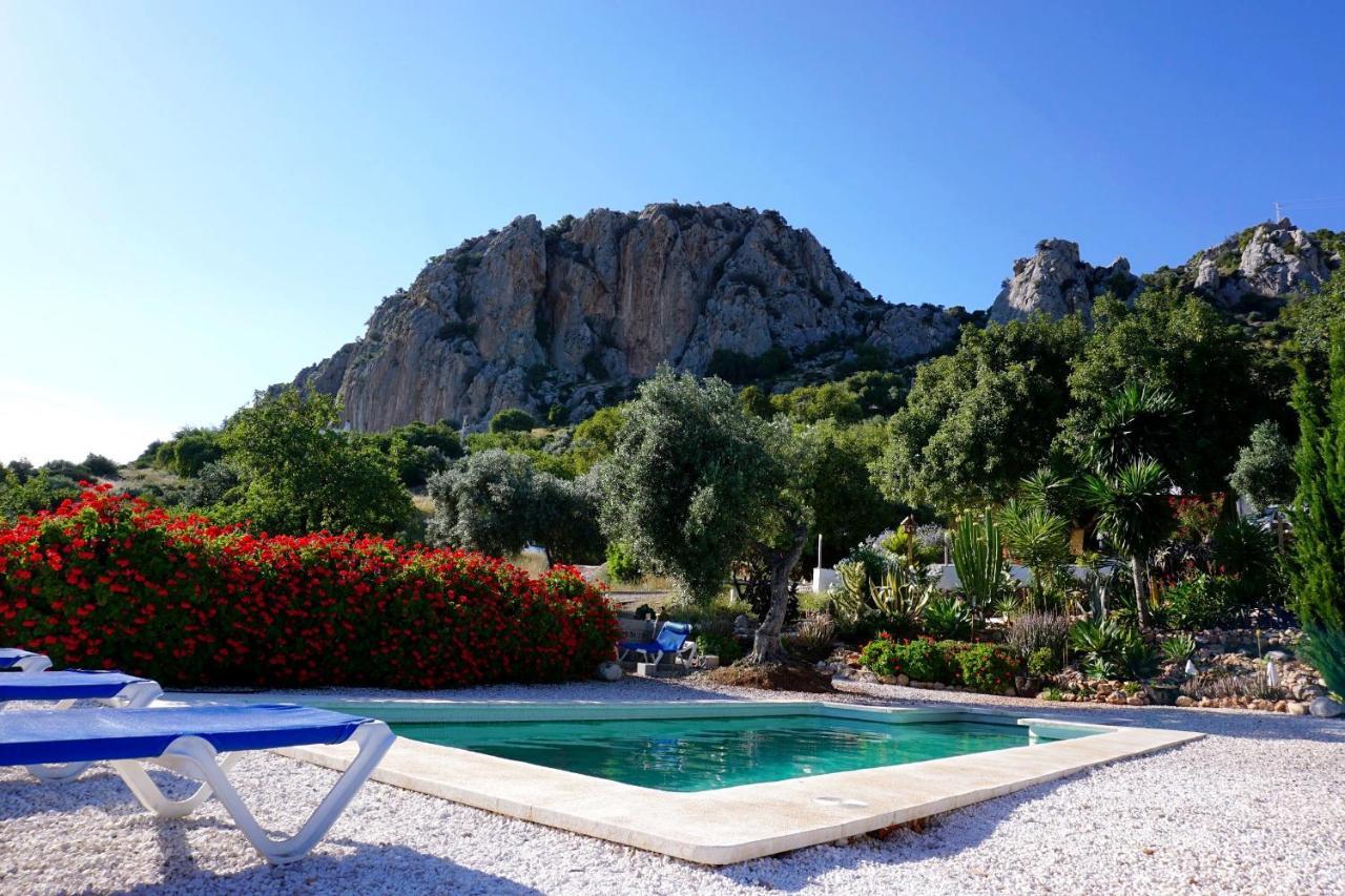 Olive Branch Guest house