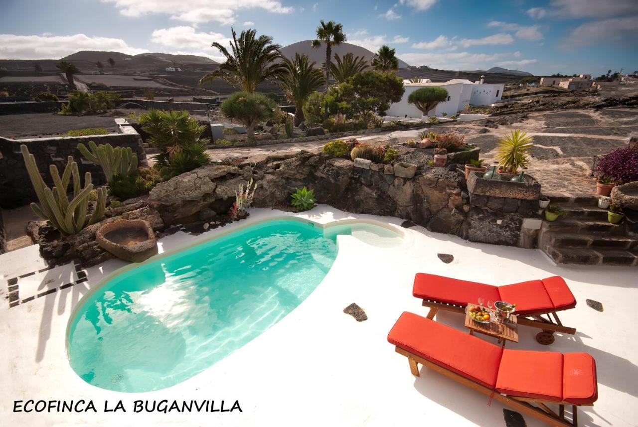 Ecofinca La Buganvilla (adults Only) * San Bartolomé