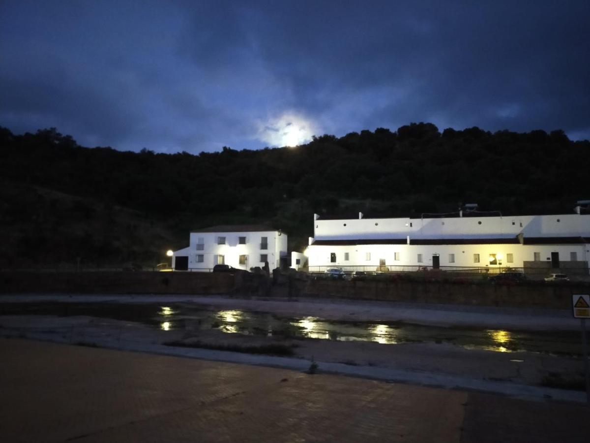 Nacimiento Del Huéznar - Tomillo 17