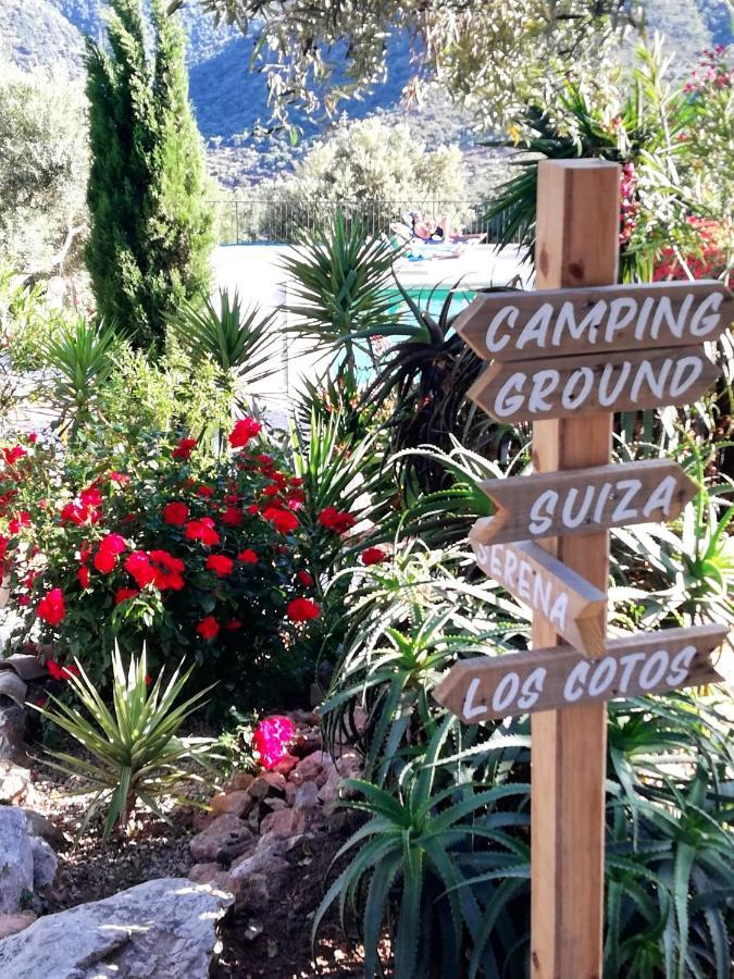 Olive Branch Guest house