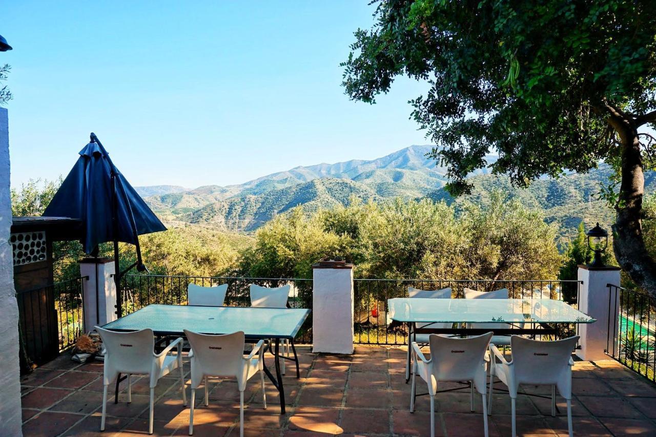 Olive Branch Guest house
