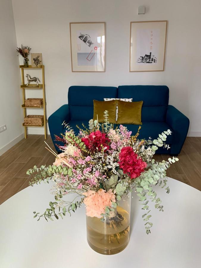 La Moma & Apartment Xativa