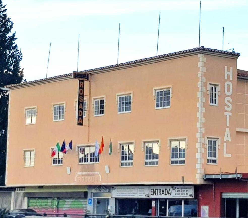 Guest house Rosada