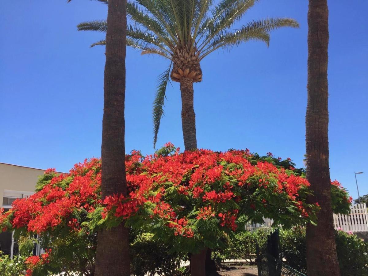 Granada * Playa del Ingles (Gran Canaria)
