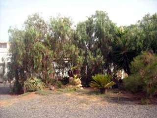 Casa rural Rural Era De La Corte - Adults Only Antigua (Fuerteventura)