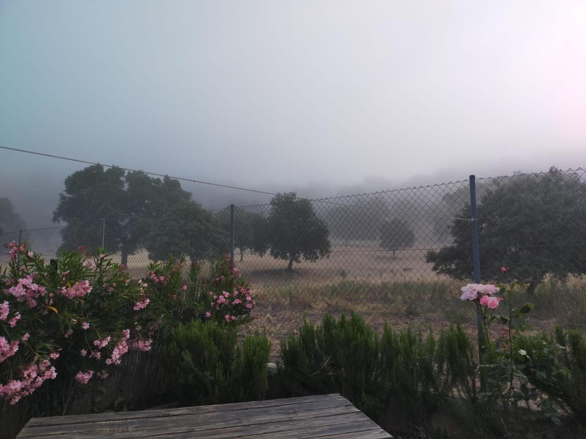 Casa rural Nacimiento Del Huéznar - Tomillo 17 *