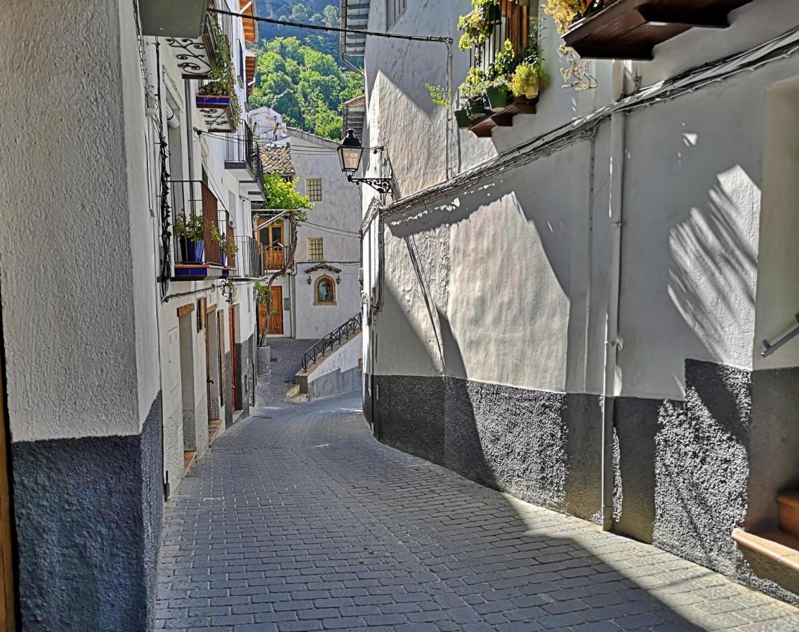 Apartment Salvatierra