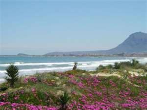 Apartment Nova - Deniasol Denia