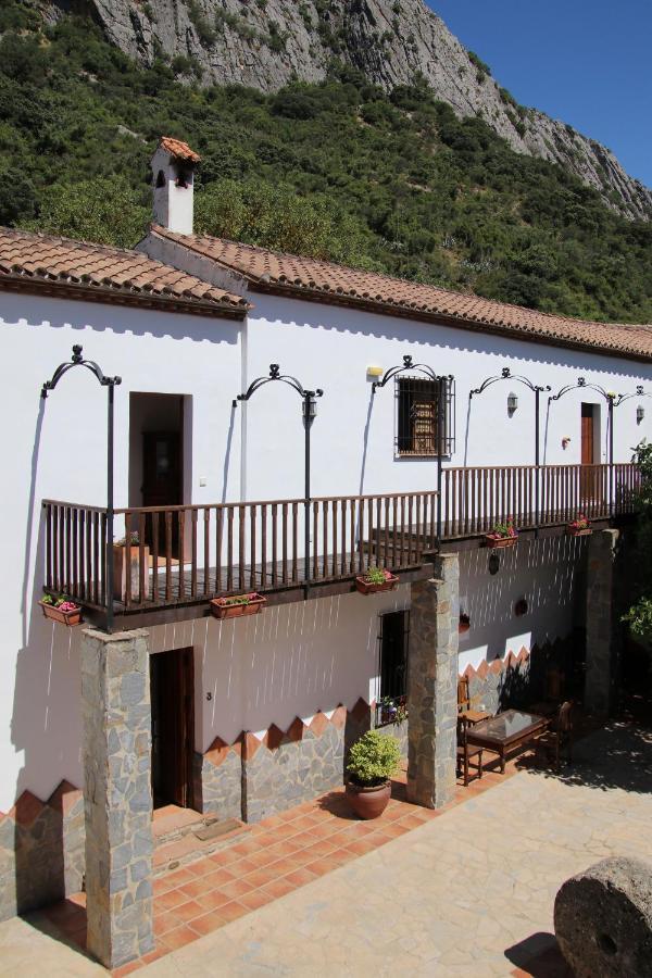 Molino Cuatro Paradas Benaojan
