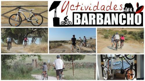 Barbancho Apartamento