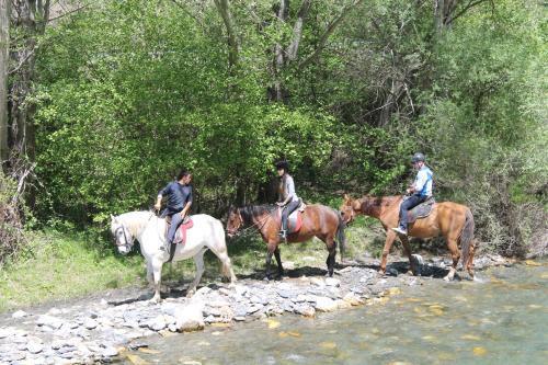 Wifi Baqueira&aigüestortes Con Jardín Privado *