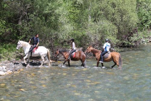Wifi Baqueira&aigüestortes Con Jardín Privado Esterri d'Àneu