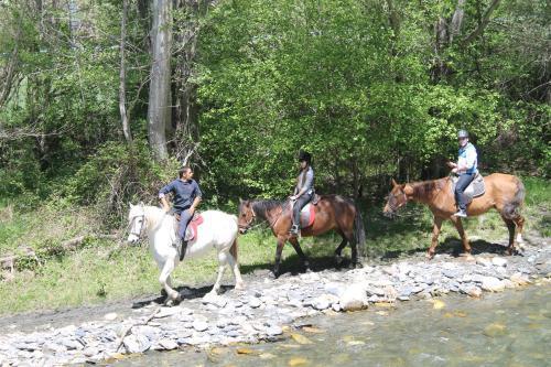 Wifi Baqueira&aigüestortes Con Jardín Privado * Esterri d'Àneu