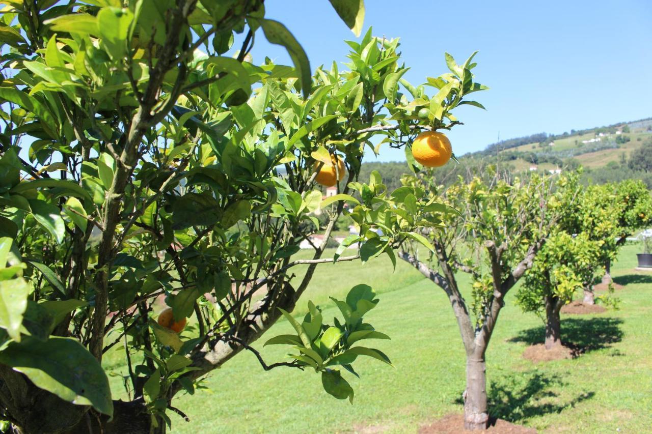 El Campo * Secadura