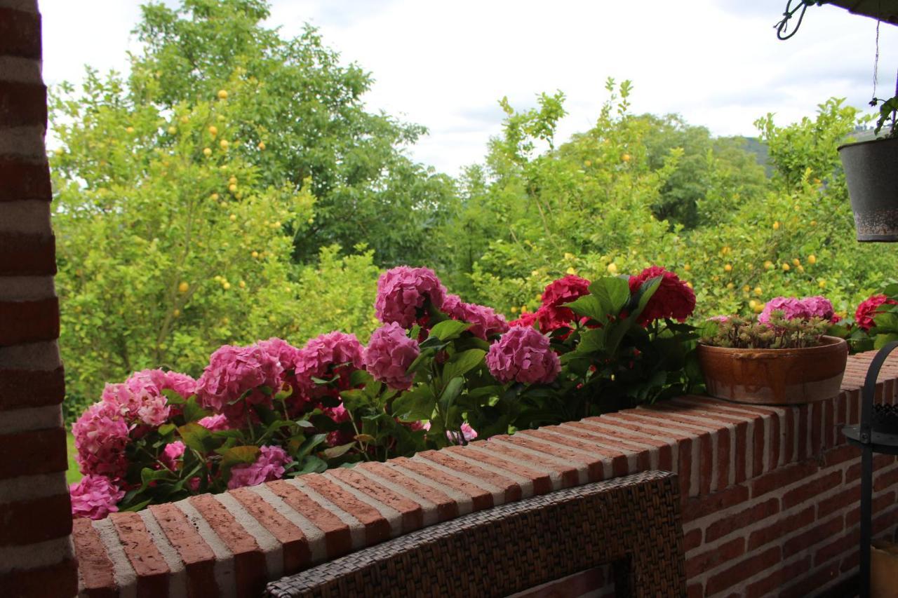 El Campo Country house