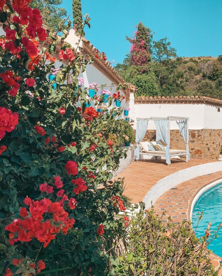 Jardines De La Reina Boutique Bed and breakfast Marbella