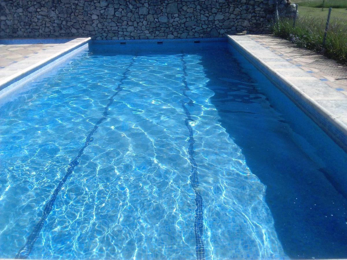 La Rana Apartamento