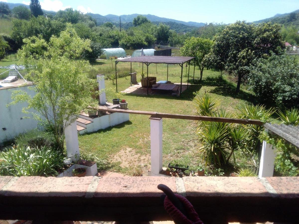 La Rana * Cortes de la Frontera