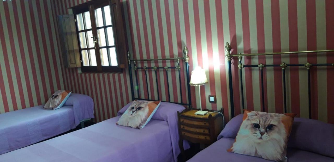 Casa rural El Hidalgo *