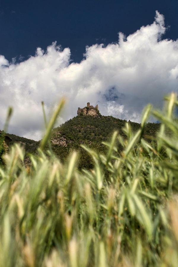 Casa El Pelaire *