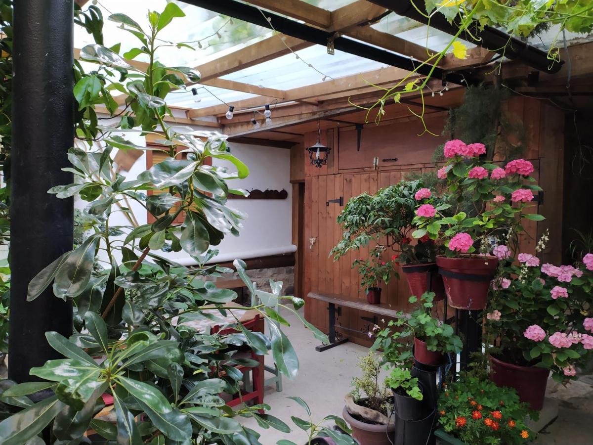 Casa Maza *