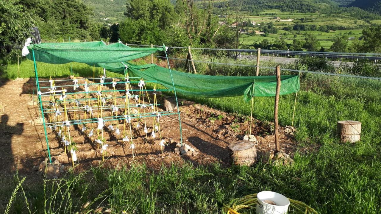 Bed and breakfast Allotjament Rural La Torre Del Manresa *