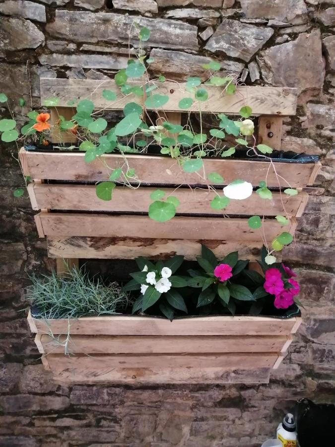 Country house El Puente Peregrino Trabadelo