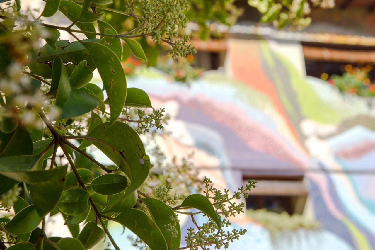 Country house Casa El Pelaire *