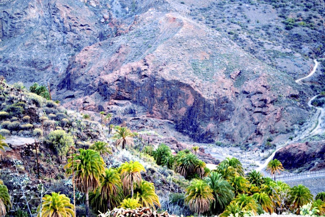 Mirador Holiday home *