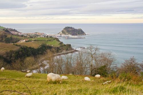 Getariano